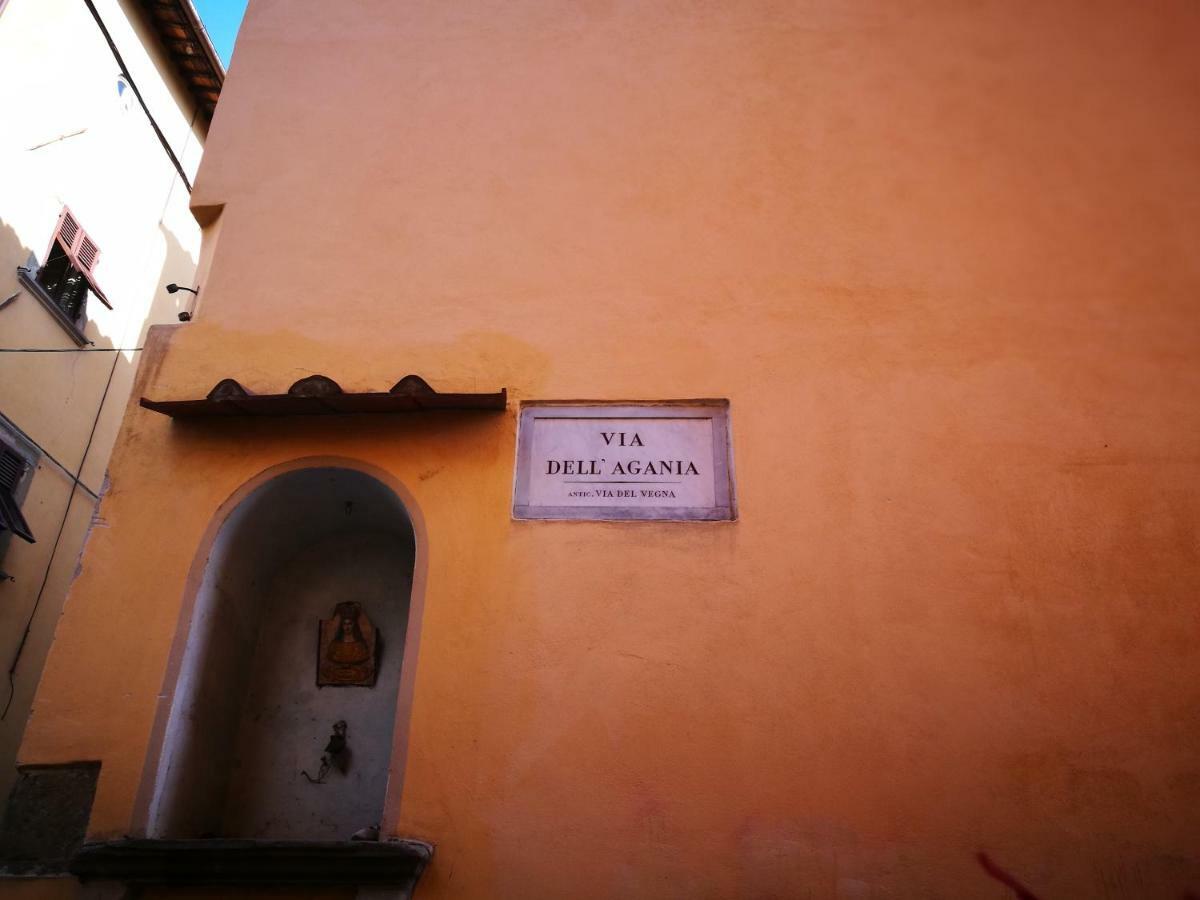 Apartamento La Casina Arezzo Exterior foto